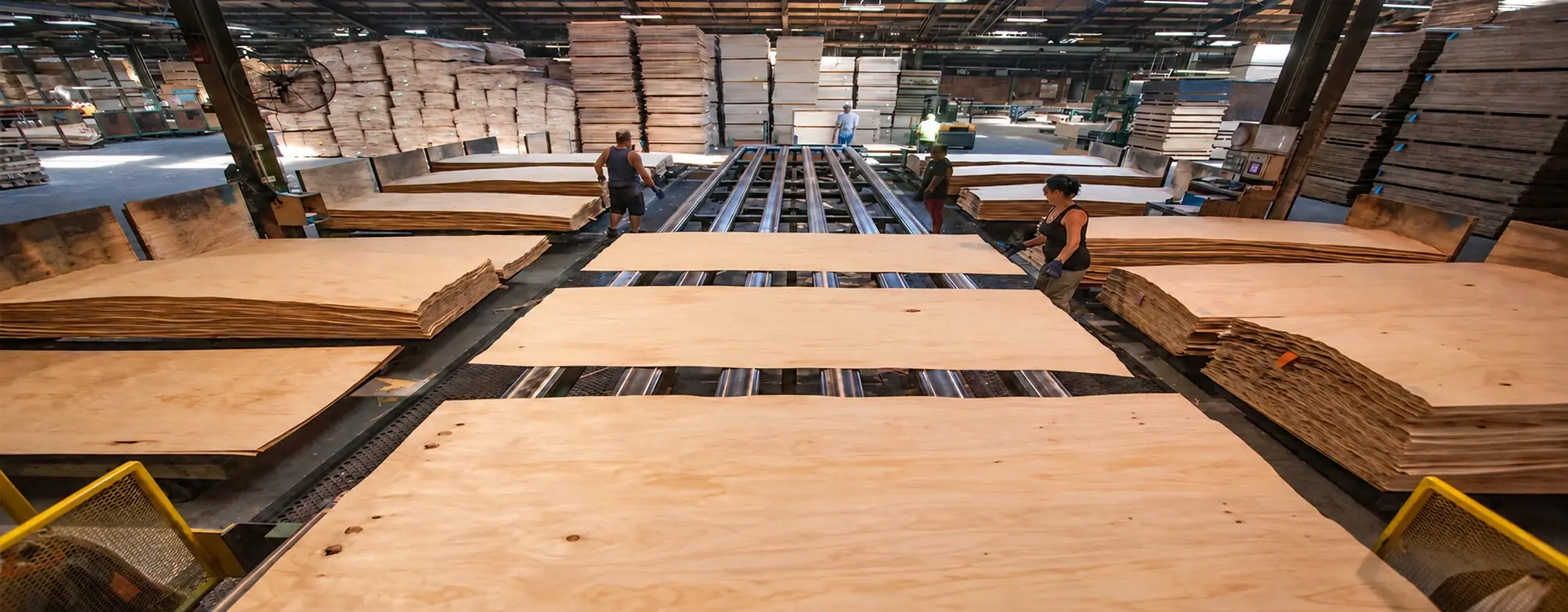 Veneer sheets and production lines inside our plywood factory