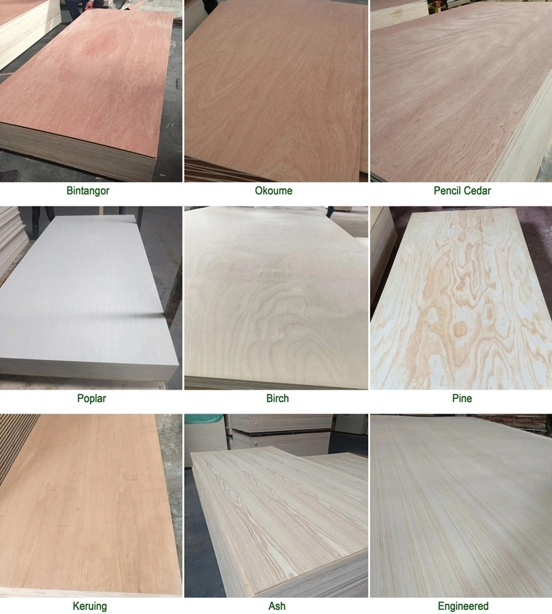 High Quality 3mm Pine Plywood Eucalyptus Hardwood Sanded Pine