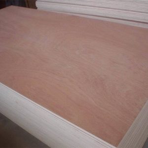 bintangor plywood3mm 5mm 6mm9mm12mm15mm18mm / contrachapado China