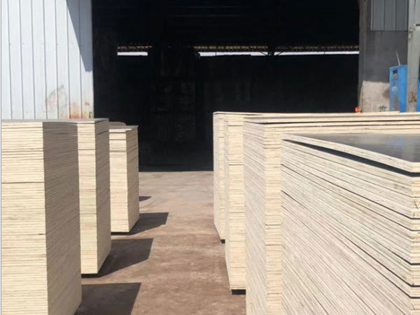 Formwork Plywood For Sale Plywood Supplier   V2 D4caa456e82e1cc959e6cfd745c78df1 1440w 